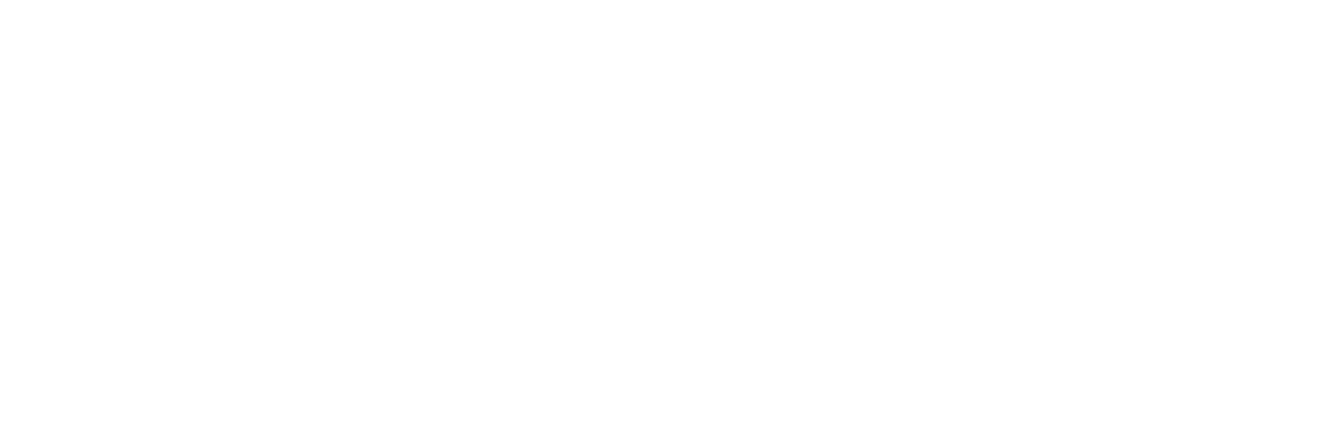 footer svg